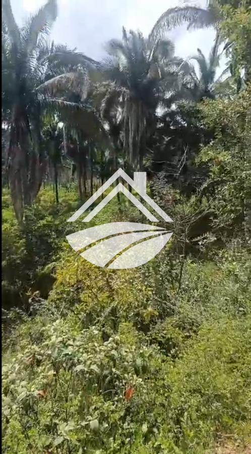 Fazenda, 900 m² - Foto 7