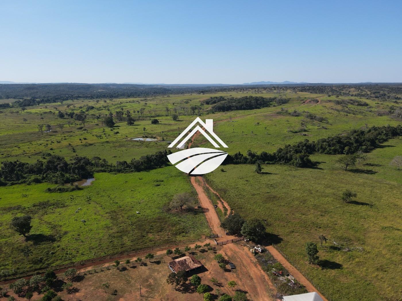 Fazenda, 1437 m² - Foto 3