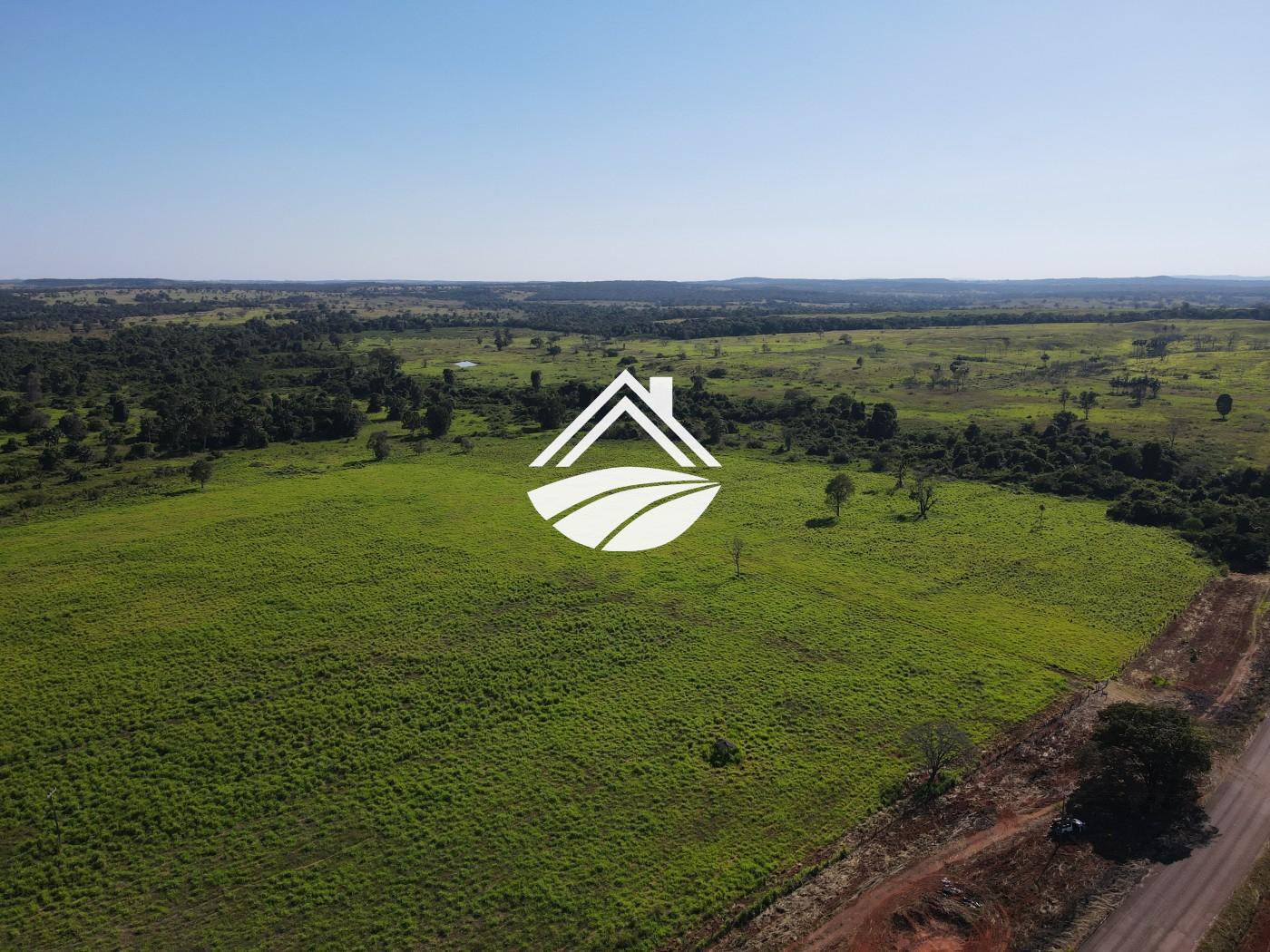 Fazenda, 1437 m² - Foto 4