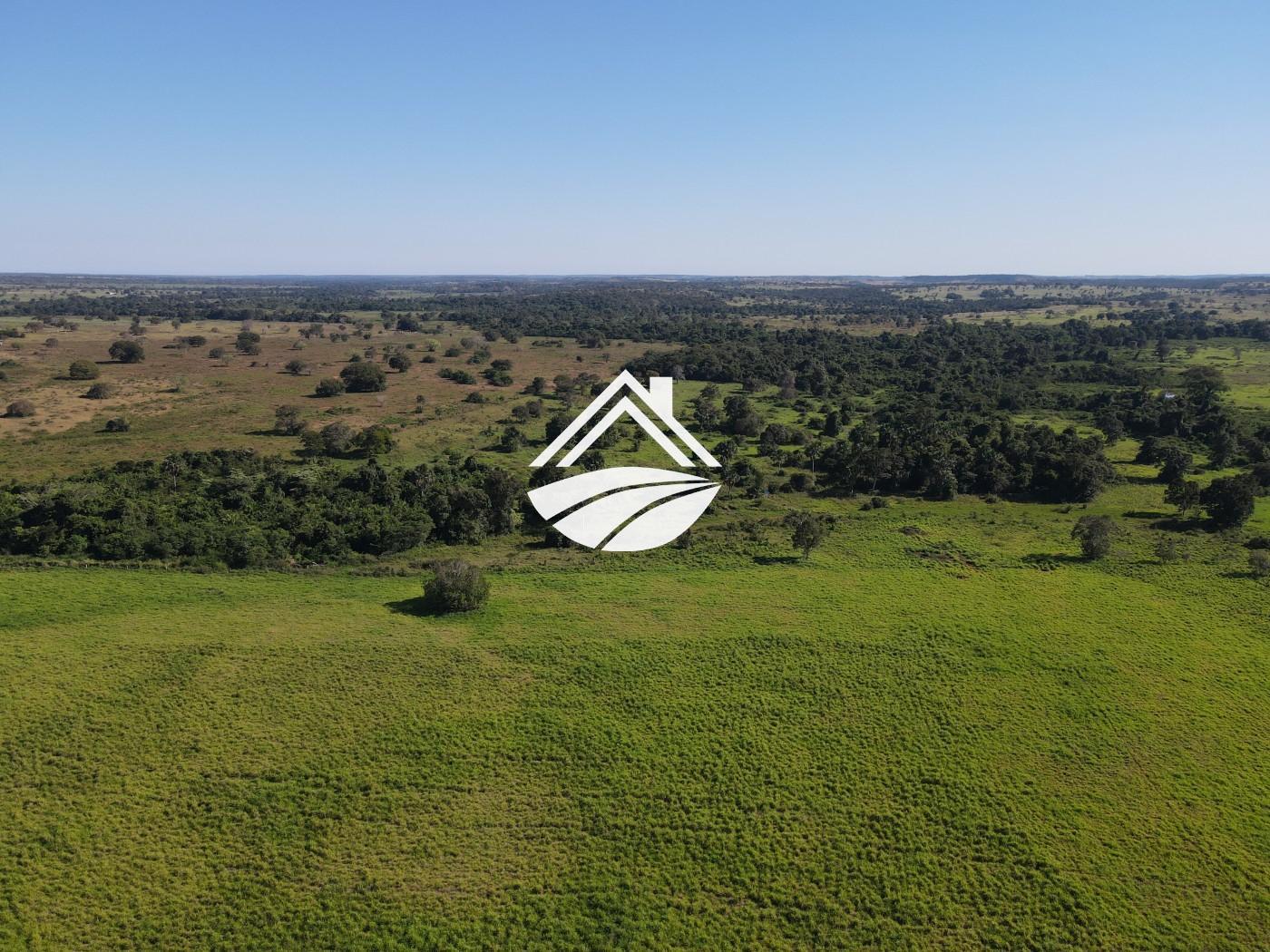Fazenda, 1437 m² - Foto 6