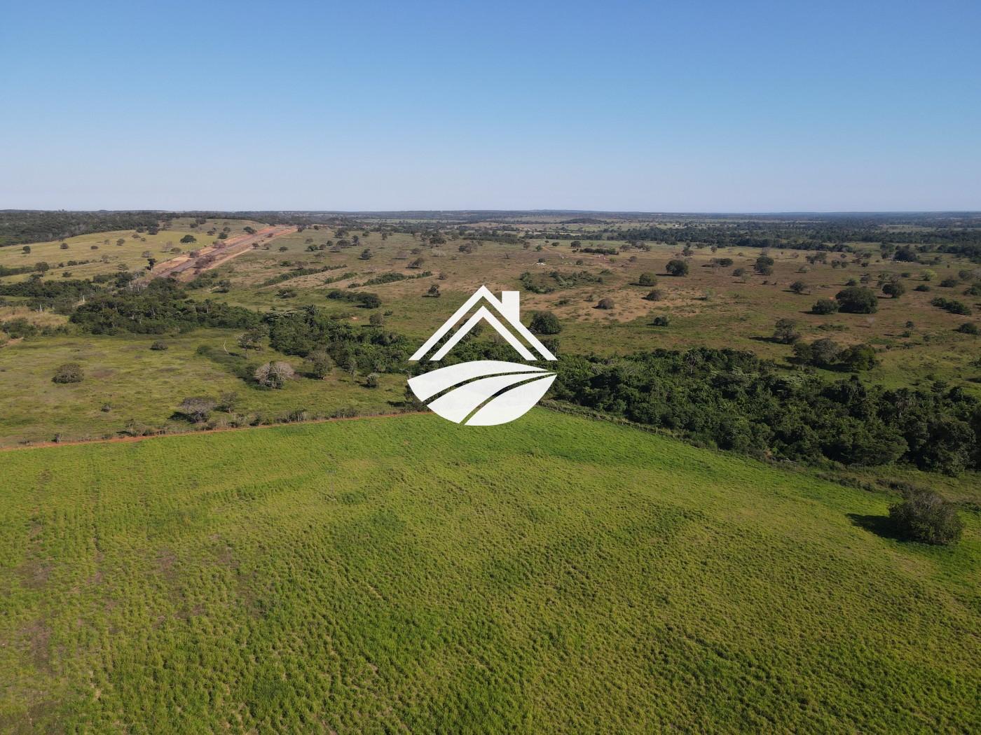 Fazenda, 1437 m² - Foto 7