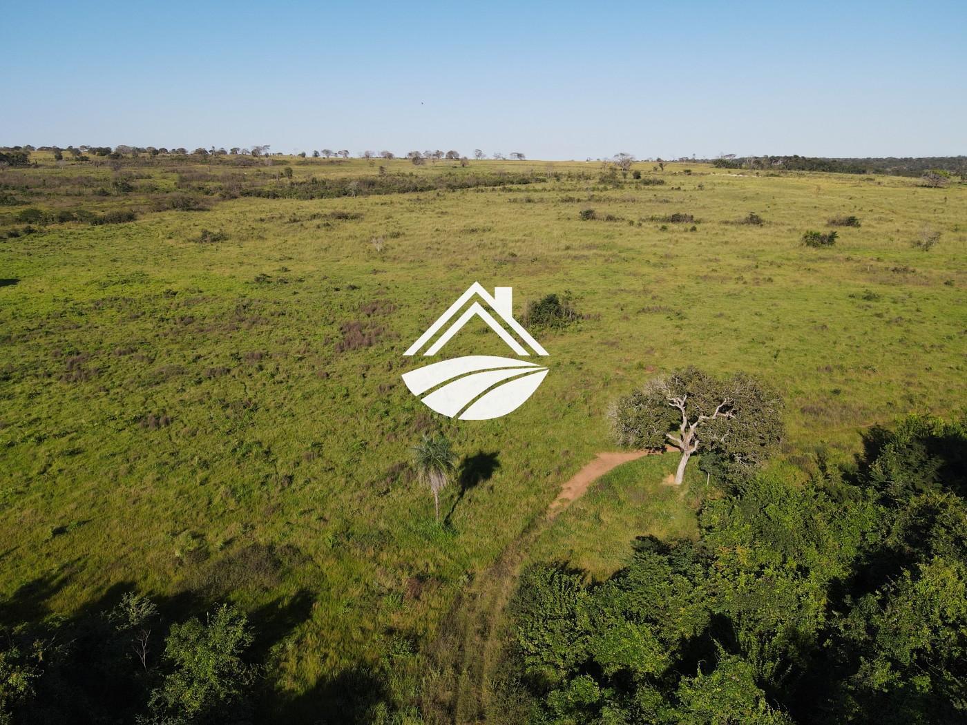 Fazenda, 1437 m² - Foto 10