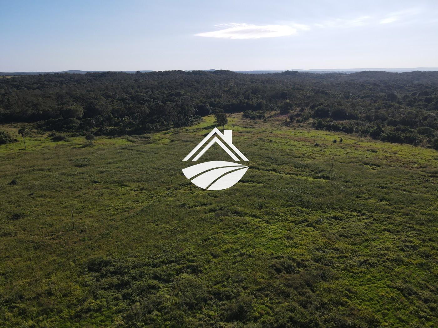Fazenda, 1437 m² - Foto 14