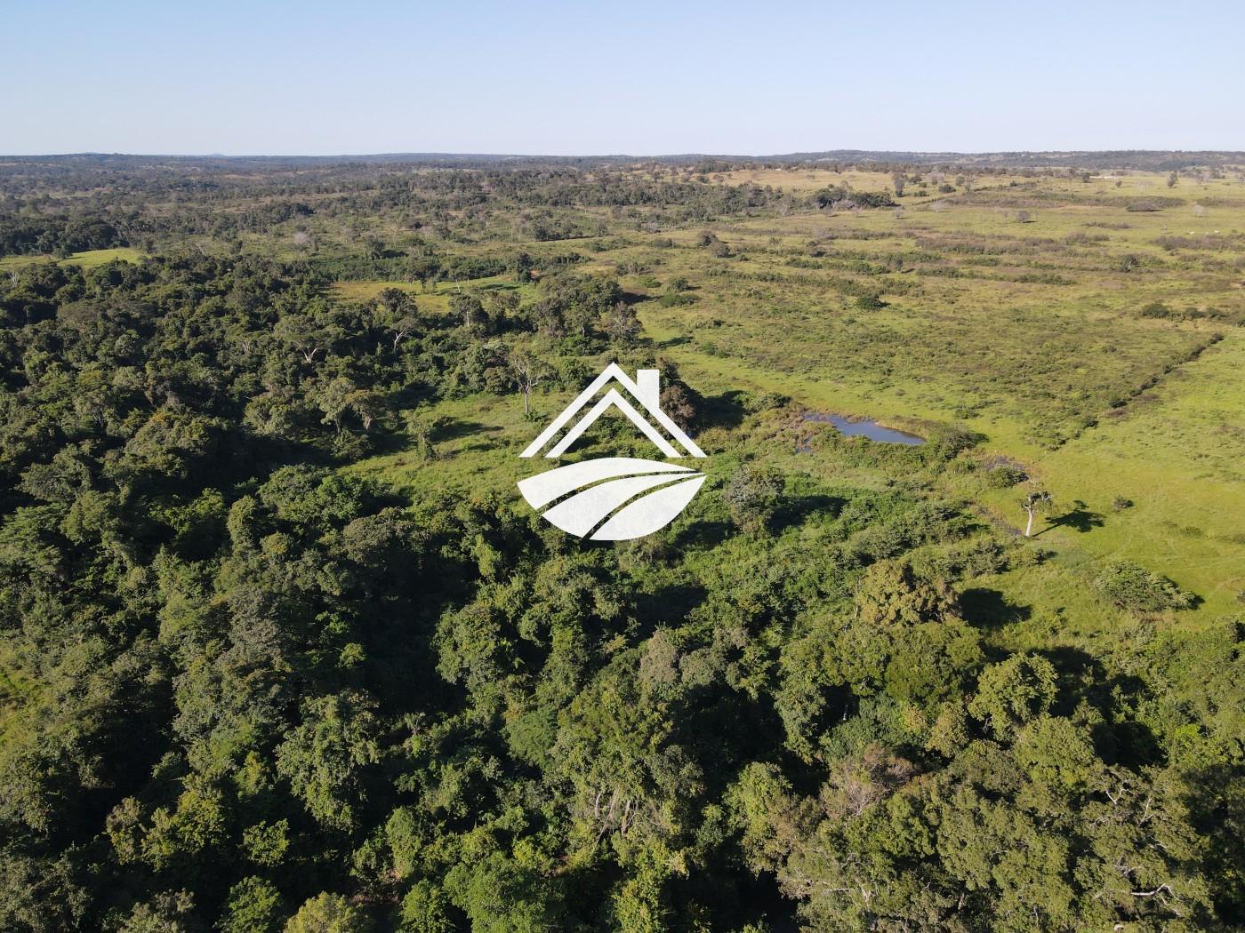 Fazenda, 1437 m² - Foto 16