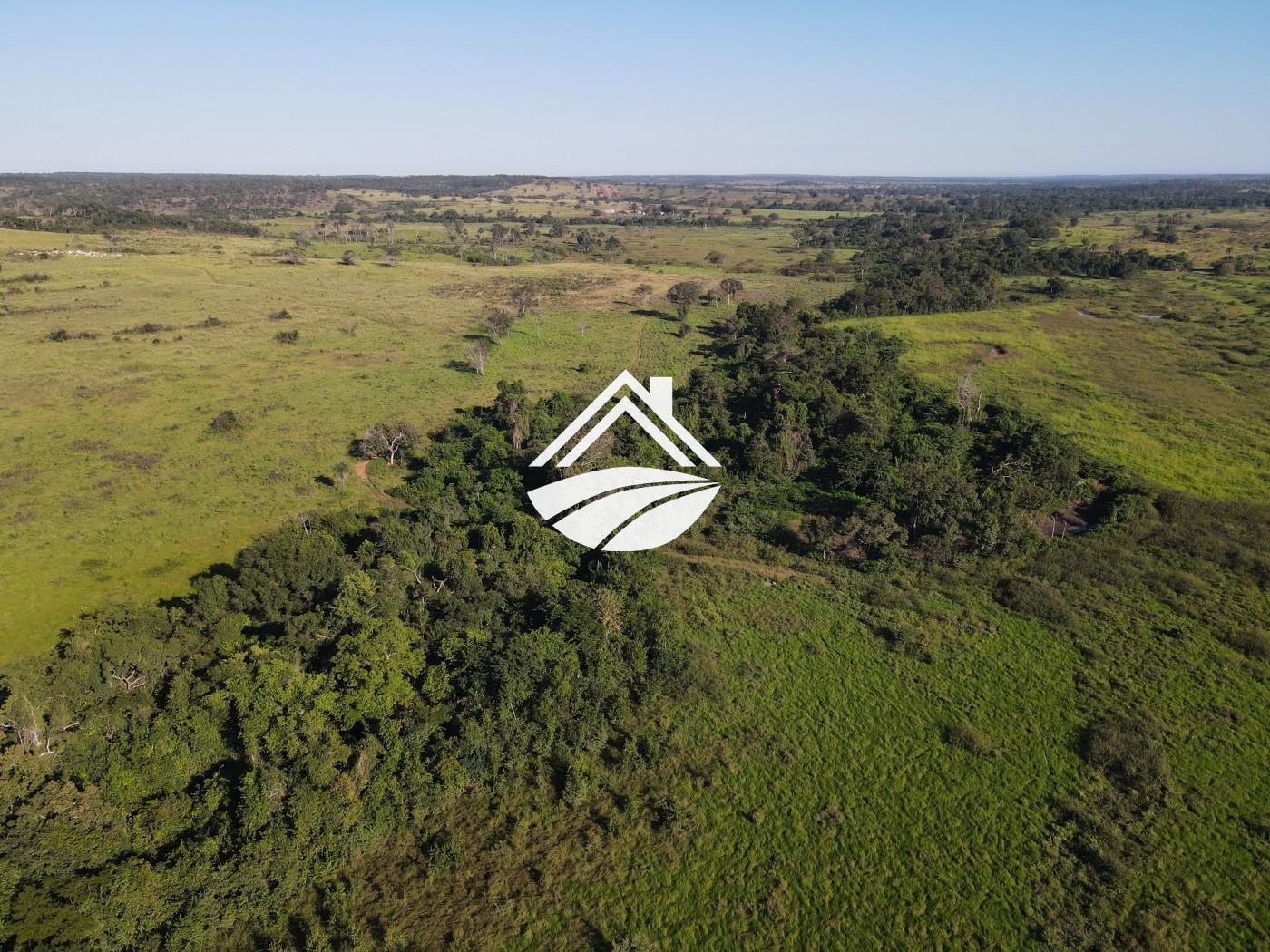 Fazenda, 1437 m² - Foto 17