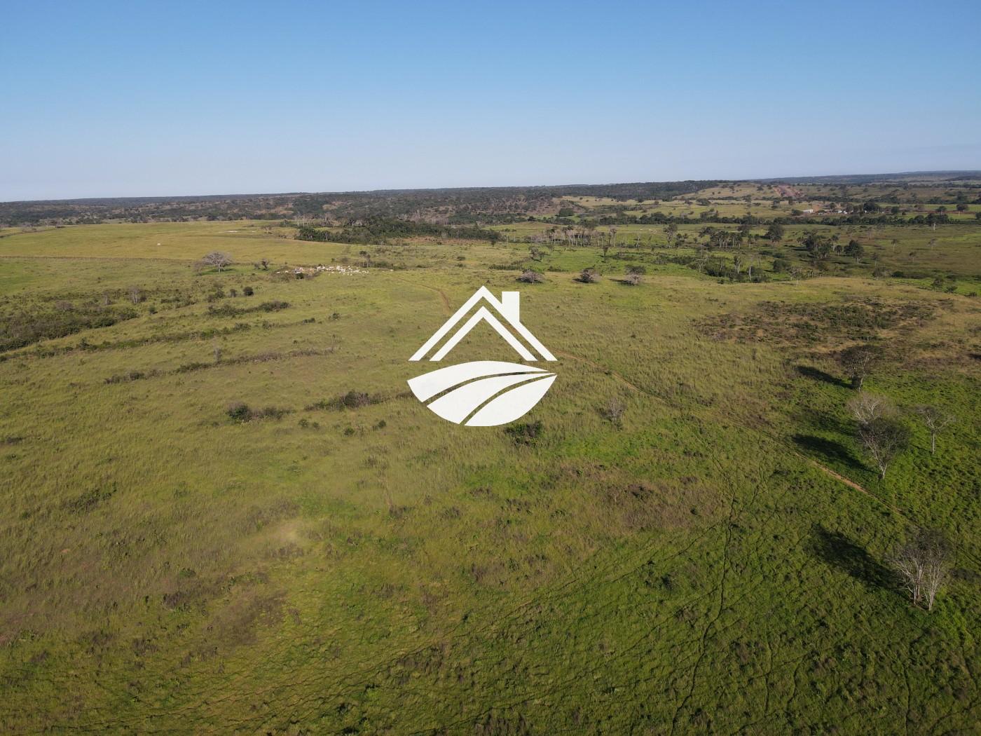 Fazenda, 1437 m² - Foto 18