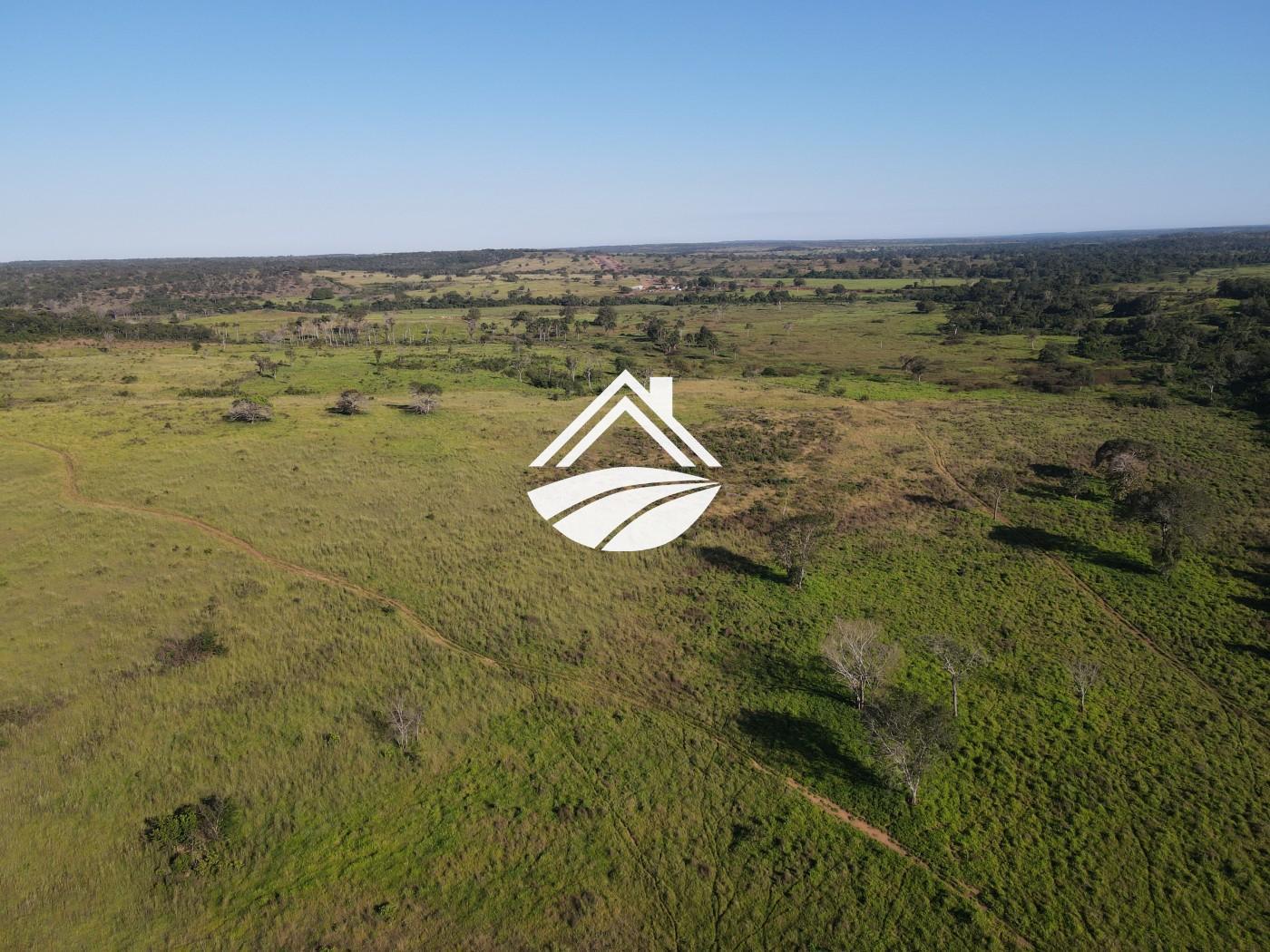 Fazenda, 1437 m² - Foto 19