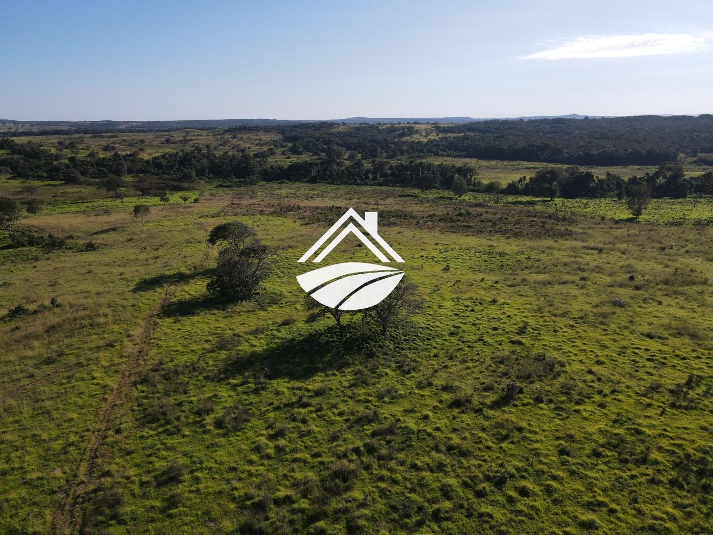 Fazenda, 1437 m² - Foto 24