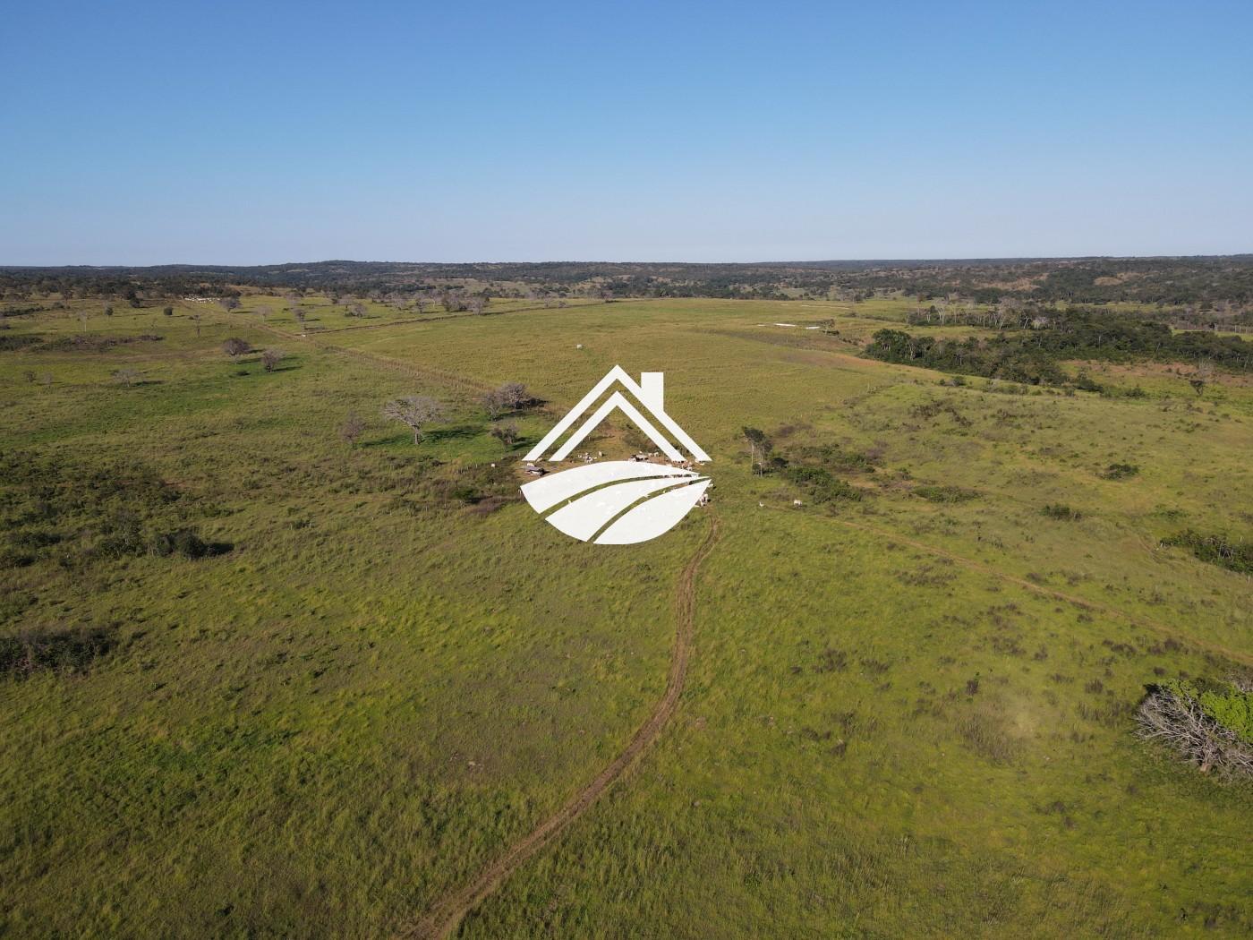 Fazenda, 1437 m² - Foto 39