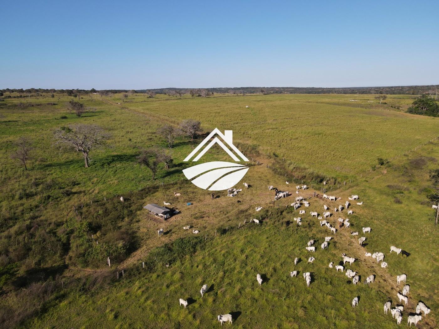 Fazenda, 1437 m² - Foto 42