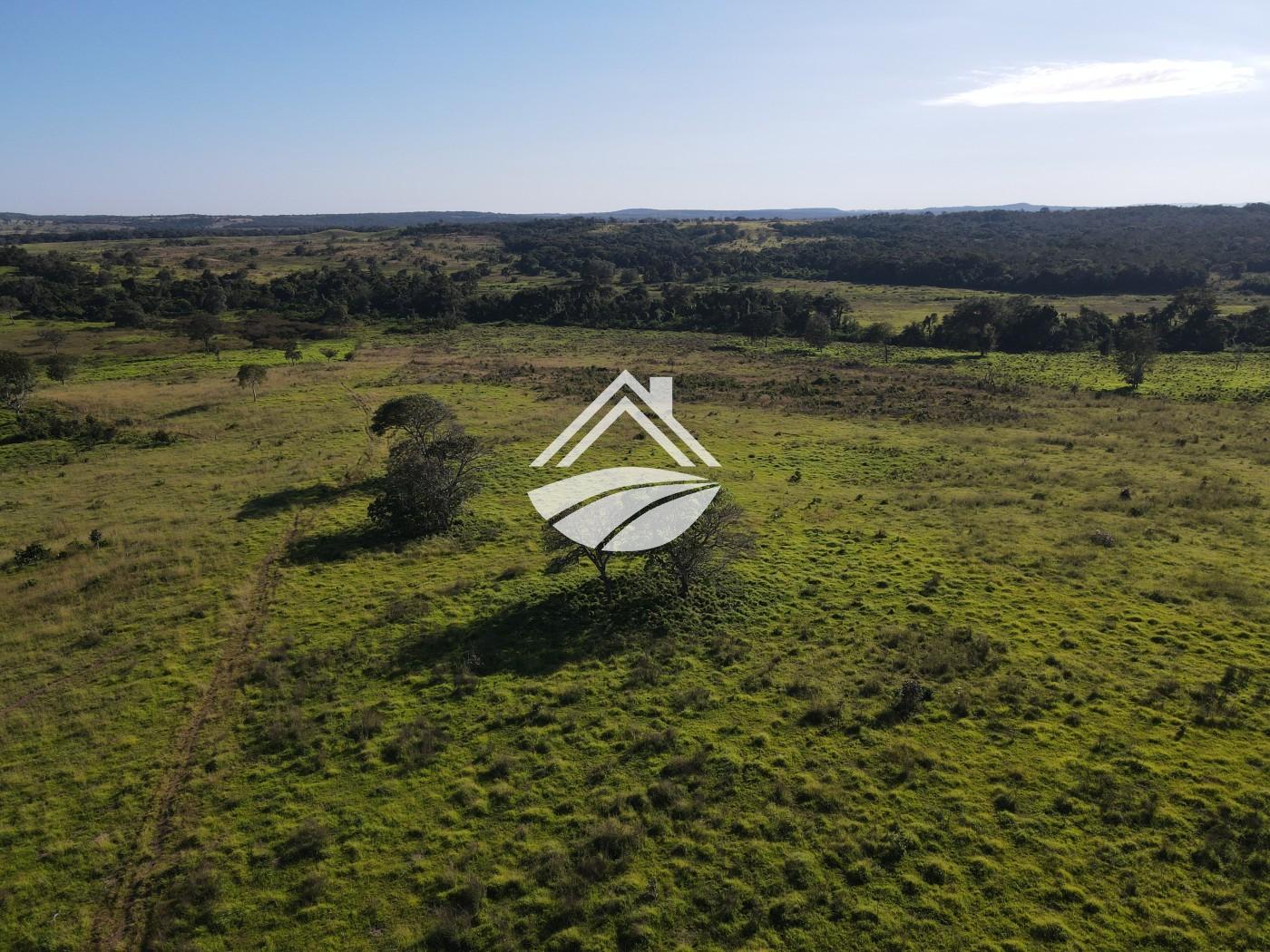 Fazenda, 1437 m² - Foto 27