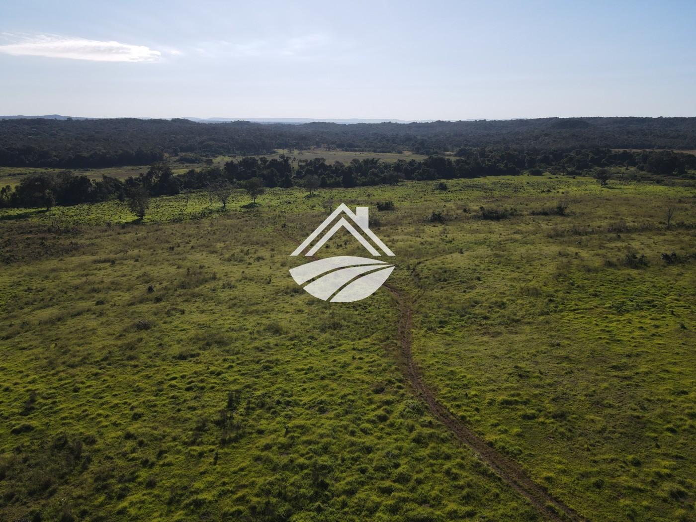 Fazenda, 1437 m² - Foto 30