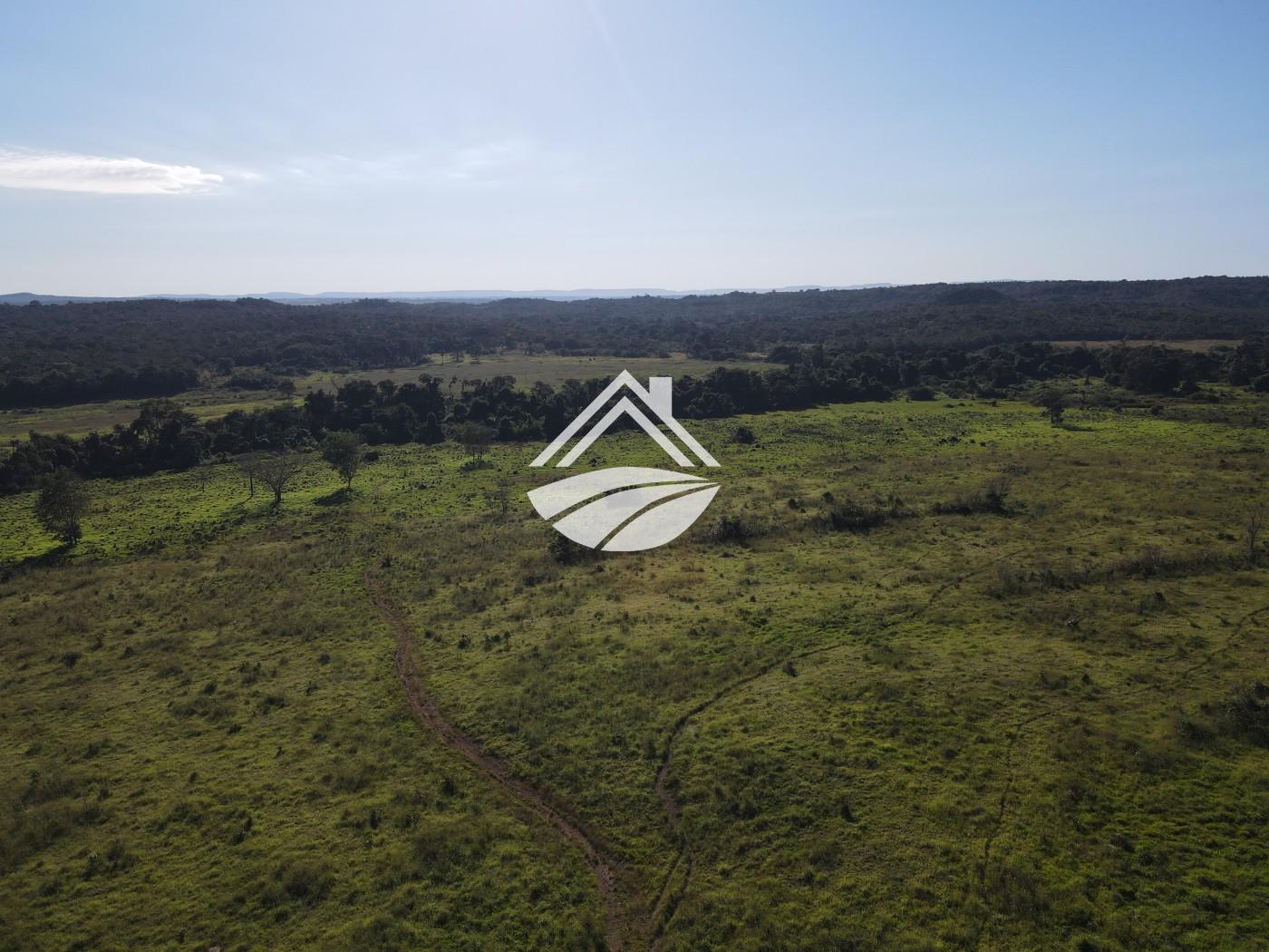 Fazenda, 1437 m² - Foto 34
