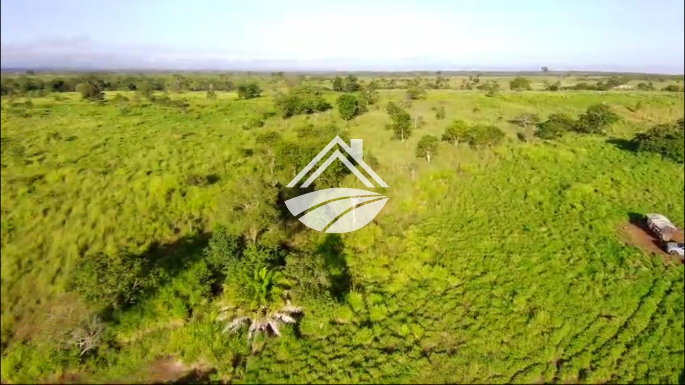Fazenda, 967 m² - Foto 1