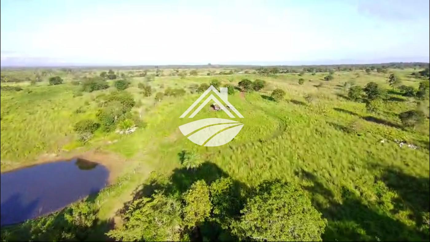 Fazenda, 967 m² - Foto 2