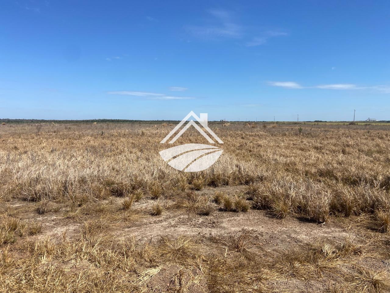 Fazenda, 1500 m² - Foto 4