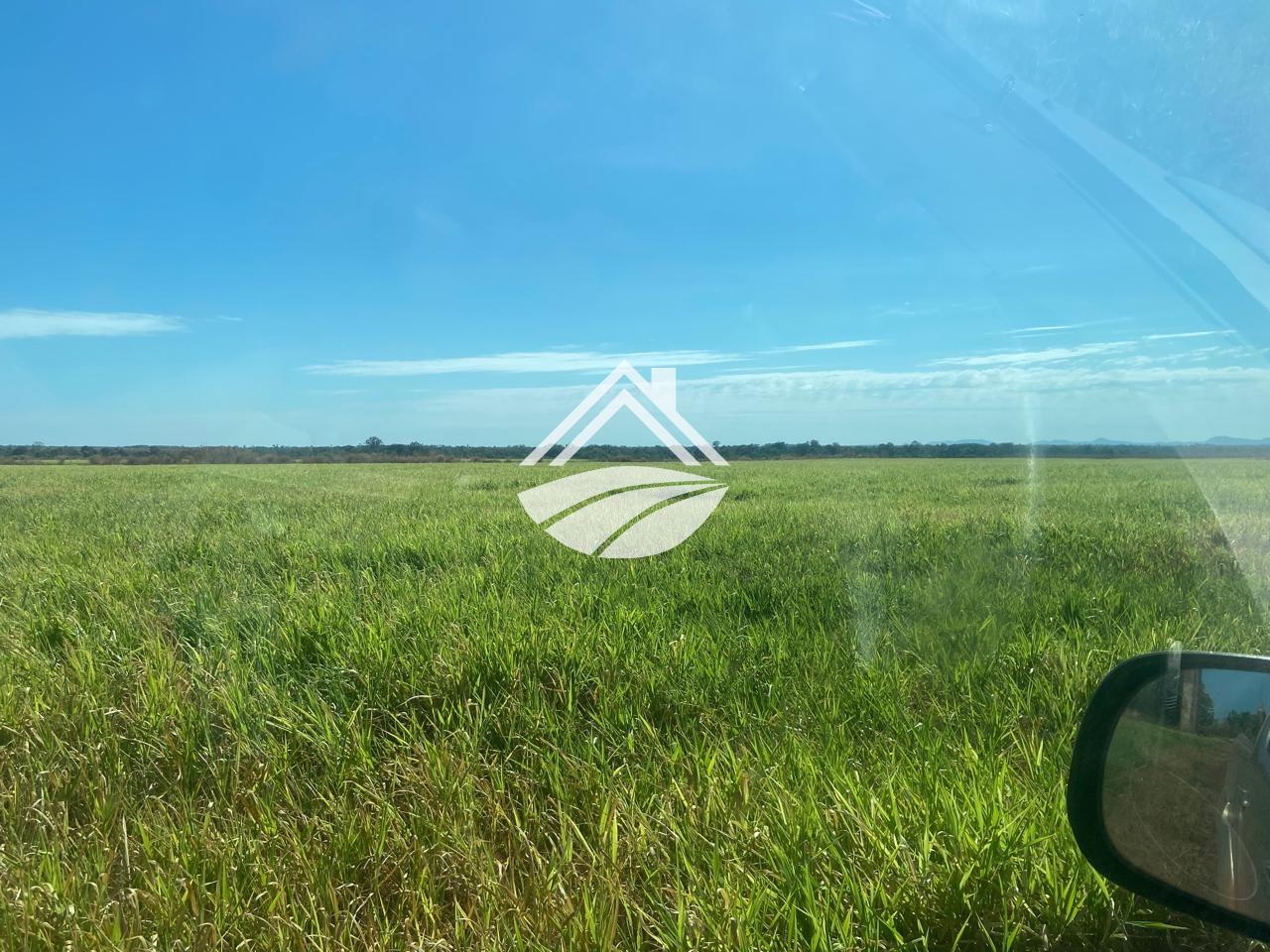 Fazenda, 1500 m² - Foto 1