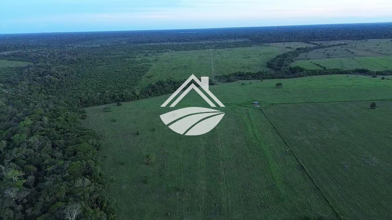 Fazenda, 4526 m² - Foto 5