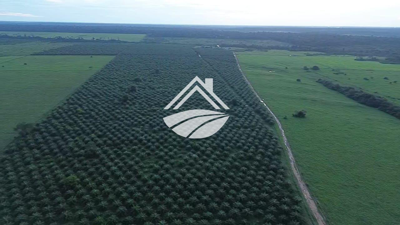 Fazenda, 4526 m² - Foto 7