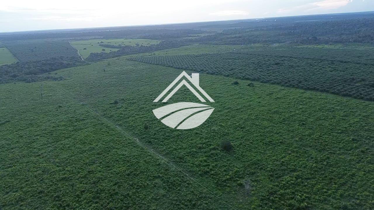 Fazenda, 4526 m² - Foto 6