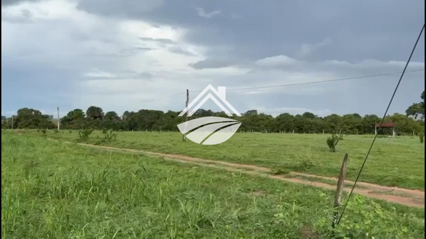 Fazenda, 769 m² - Foto 2