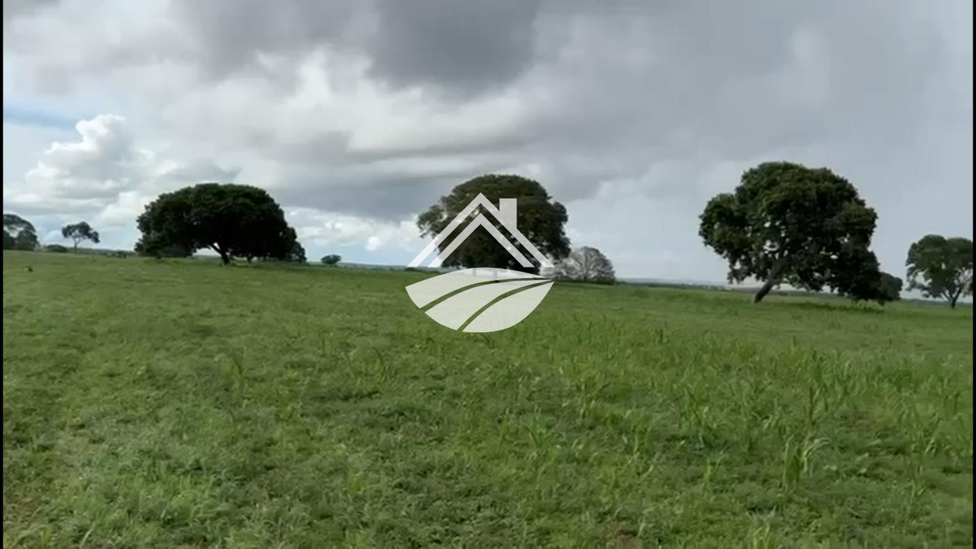 Fazenda, 769 m² - Foto 3