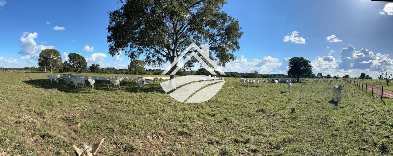 Fazenda, 769 m² - Foto 5