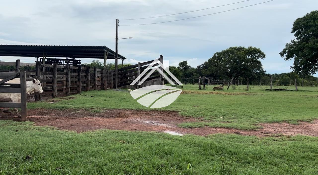 Fazenda, 769 m² - Foto 7
