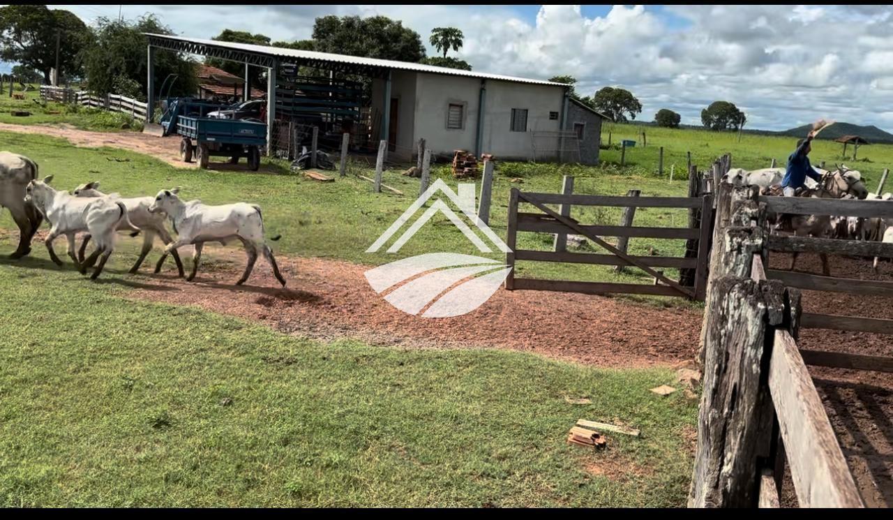 Fazenda, 769 m² - Foto 8