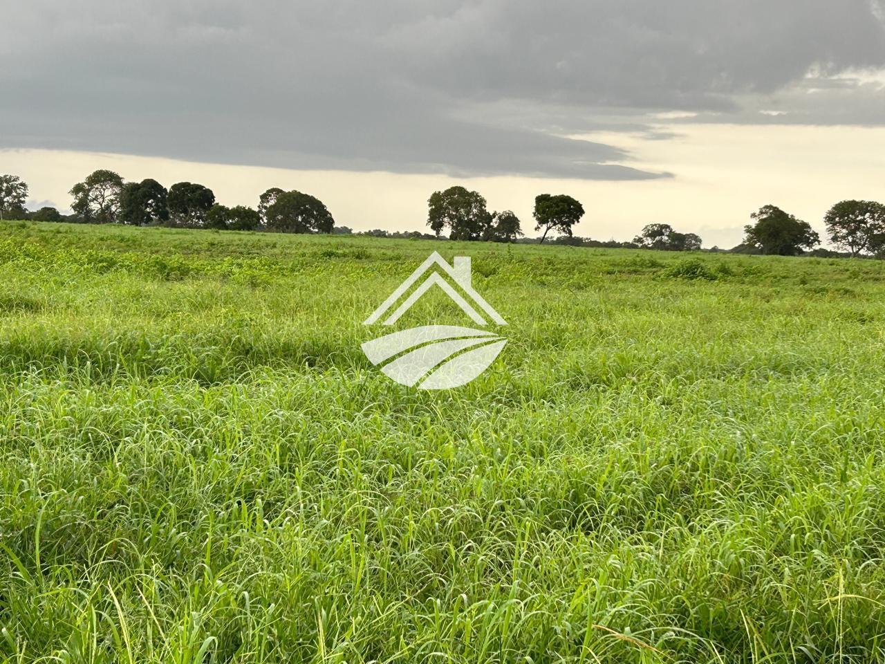 Fazenda, 769 m² - Foto 1