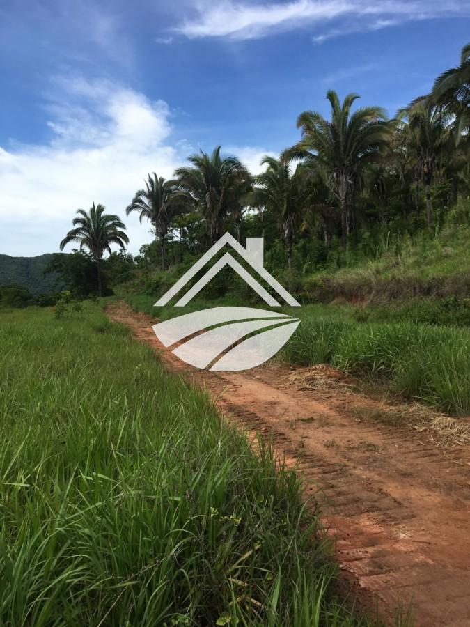 Fazenda, 24 m² - Foto 5