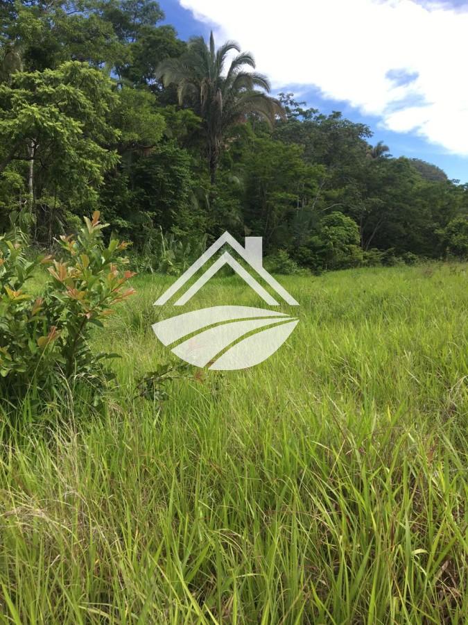 Fazenda, 24 m² - Foto 10