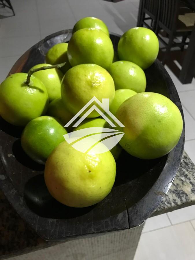 Fazenda, 24 m² - Foto 19
