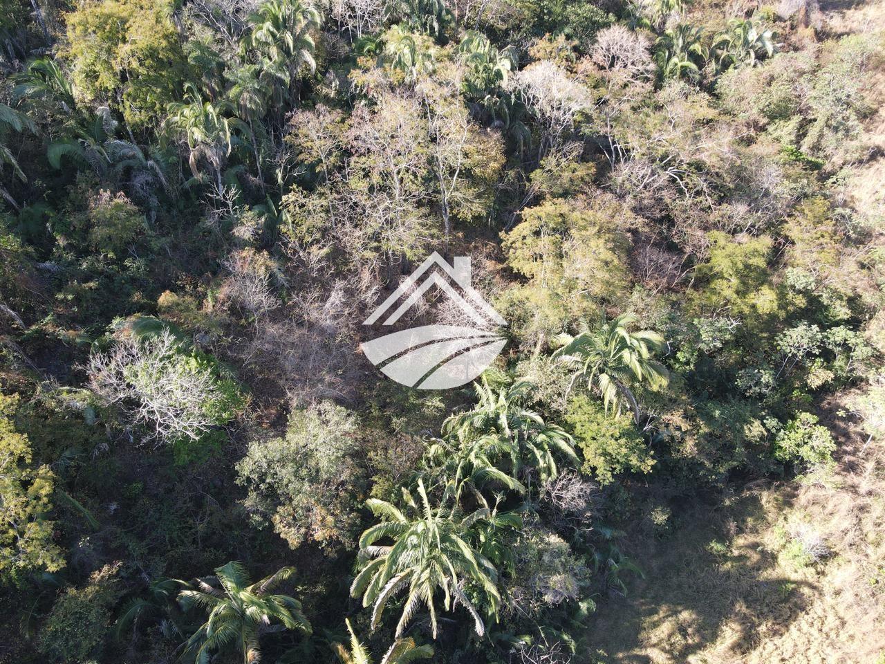 Fazenda, 24 m² - Foto 4