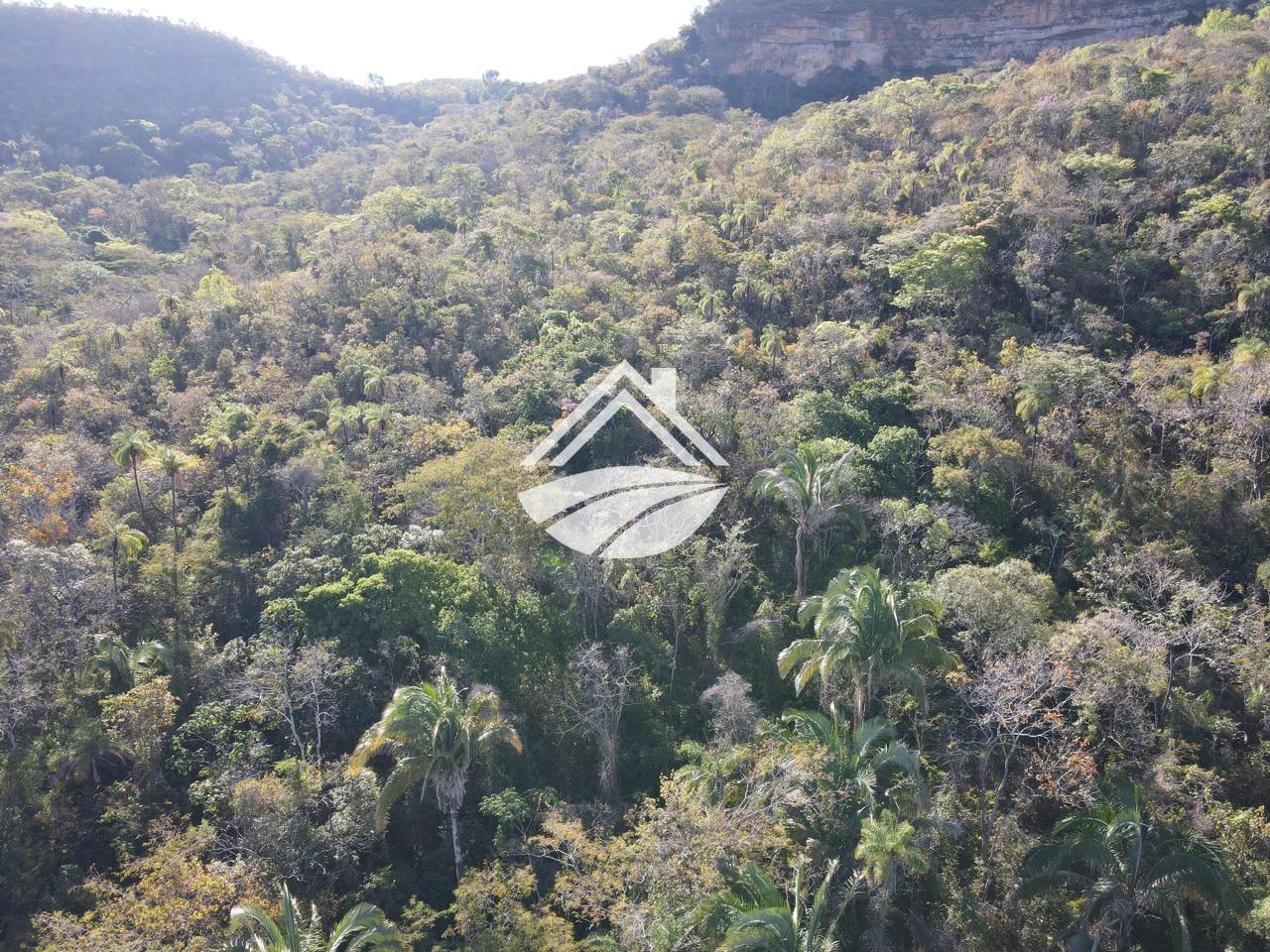 Fazenda, 24 m² - Foto 21