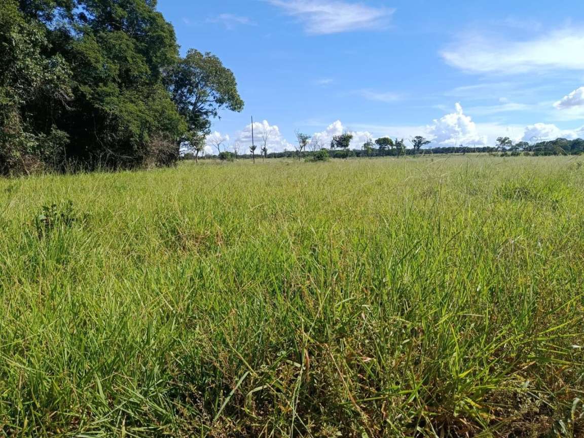 Fazenda, 2250 m² - Foto 2