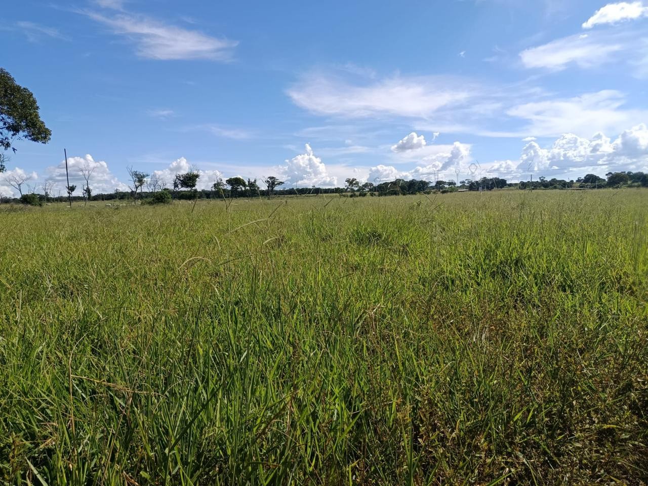 Fazenda, 2250 m² - Foto 7