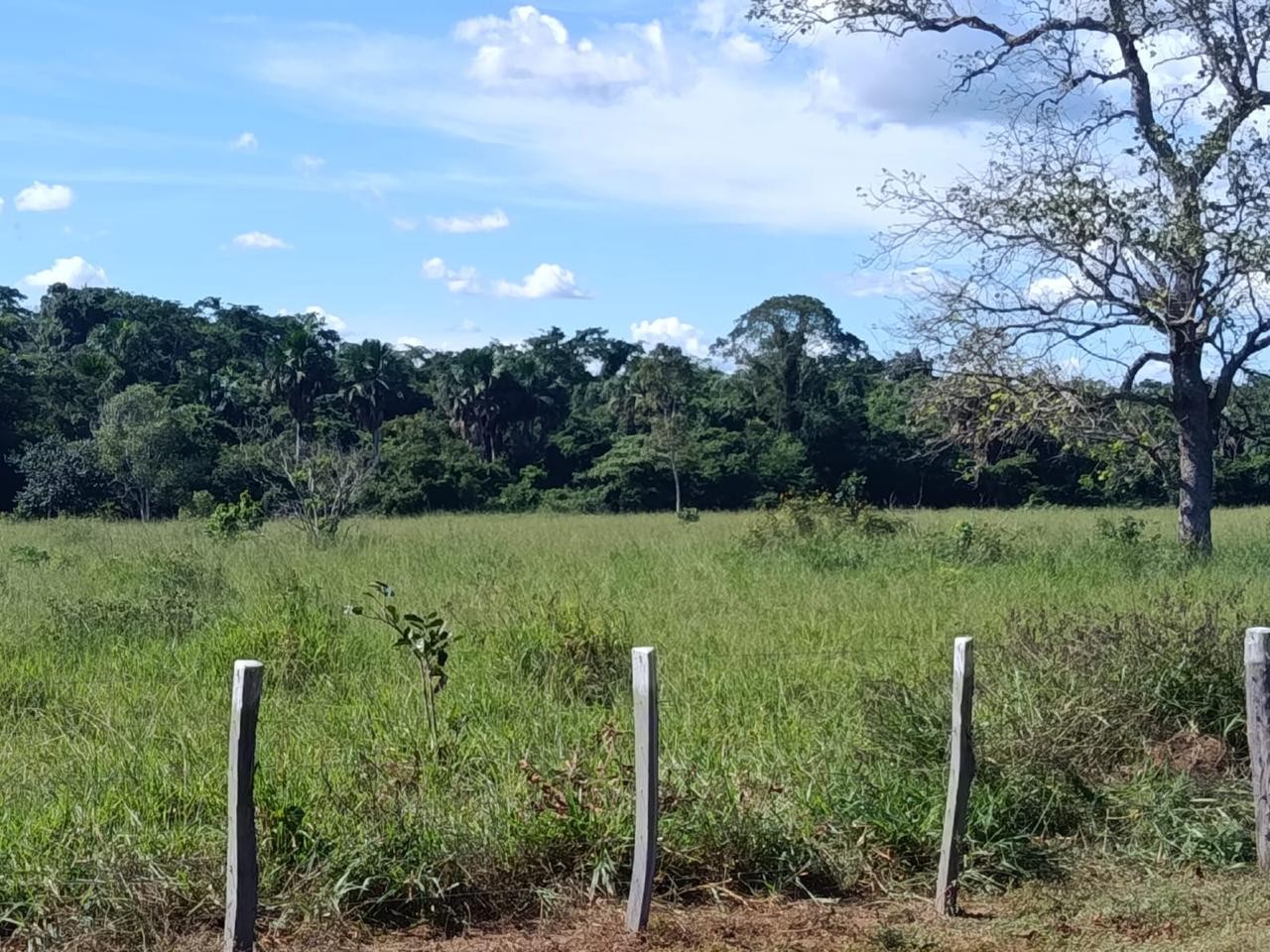 Fazenda, 2250 m² - Foto 5