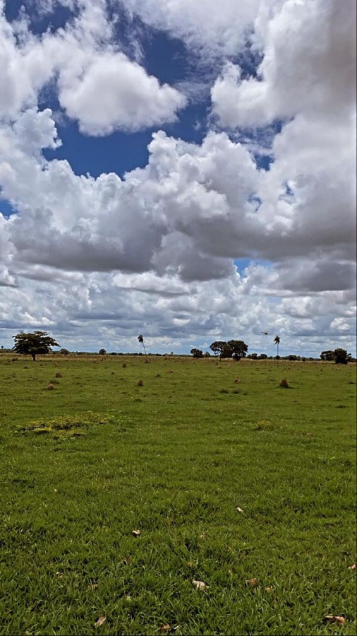 Fazenda, 2250 m² - Foto 9