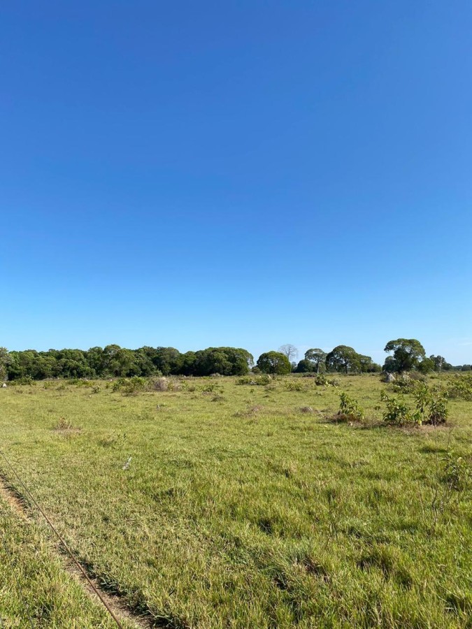 Fazenda, 2250 m² - Foto 11