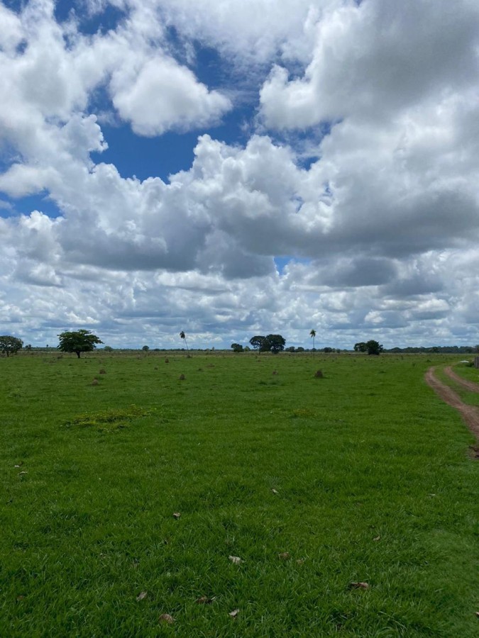 Fazenda, 2250 m² - Foto 12