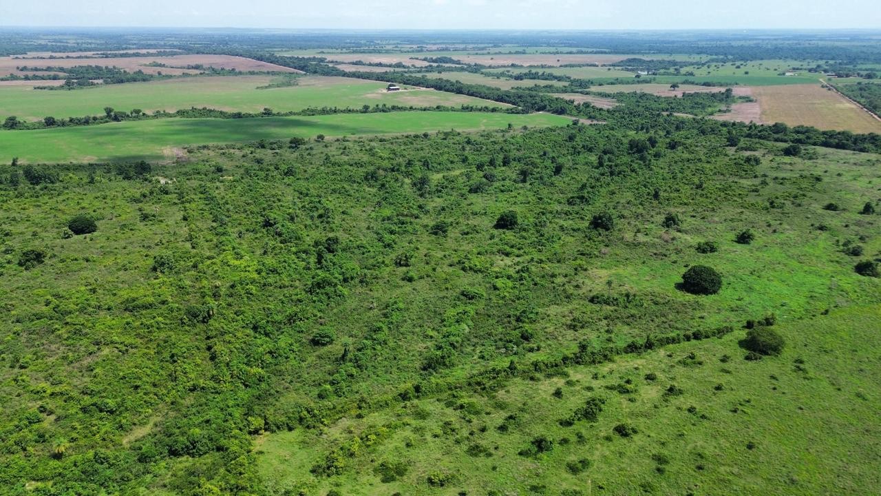 Fazenda, 2250 m² - Foto 14