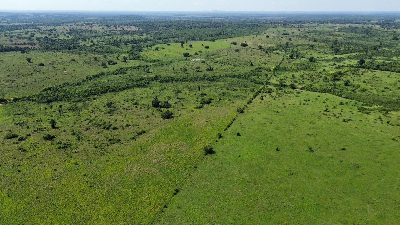 Fazenda, 2250 m² - Foto 1