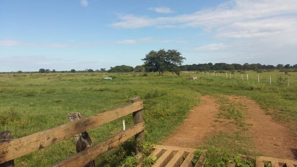Fazenda, 2250 m² - Foto 13