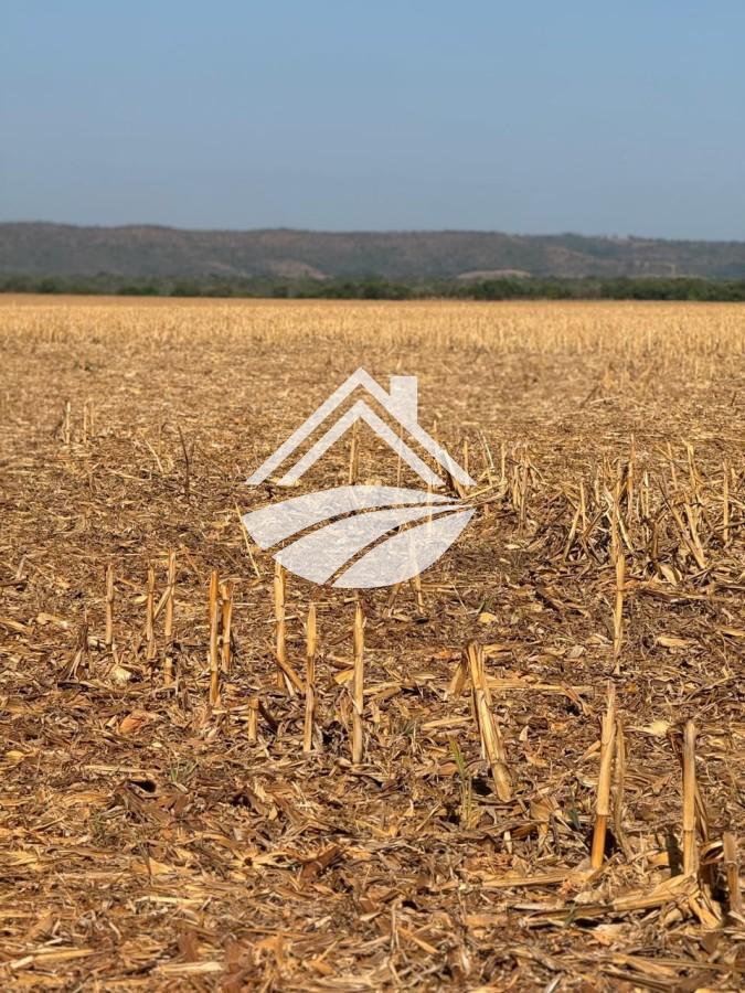 Fazenda, 990 m² - Foto 3