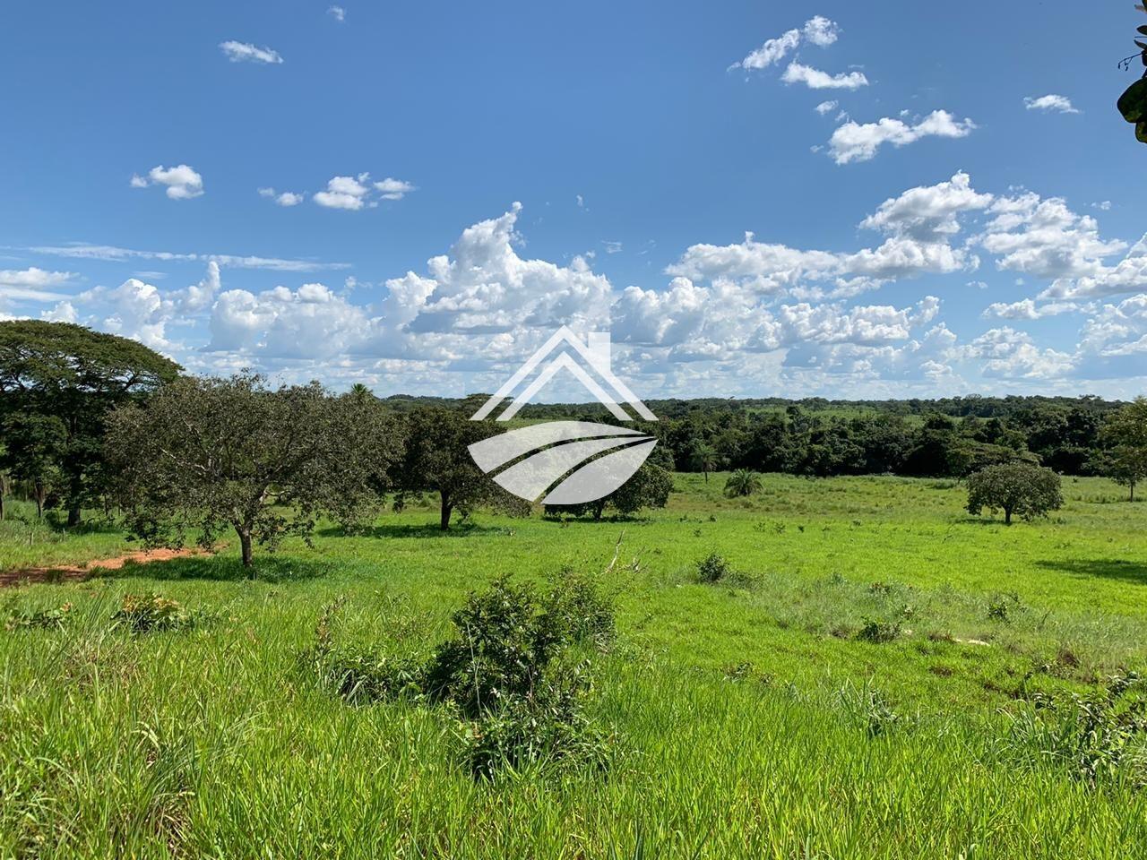 Fazenda, 580 m² - Foto 8