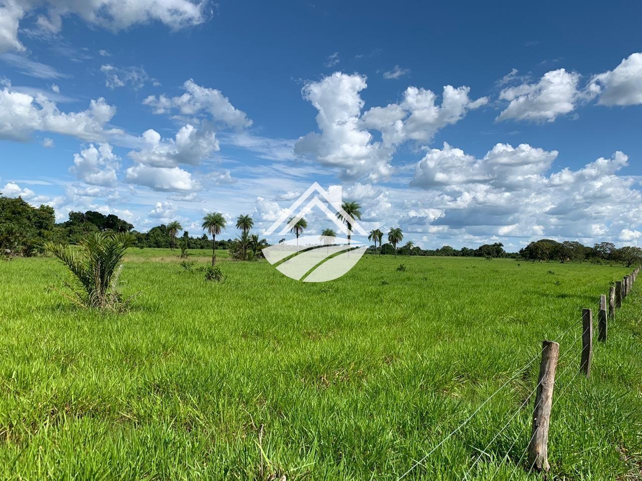 Fazenda, 580 m² - Foto 6