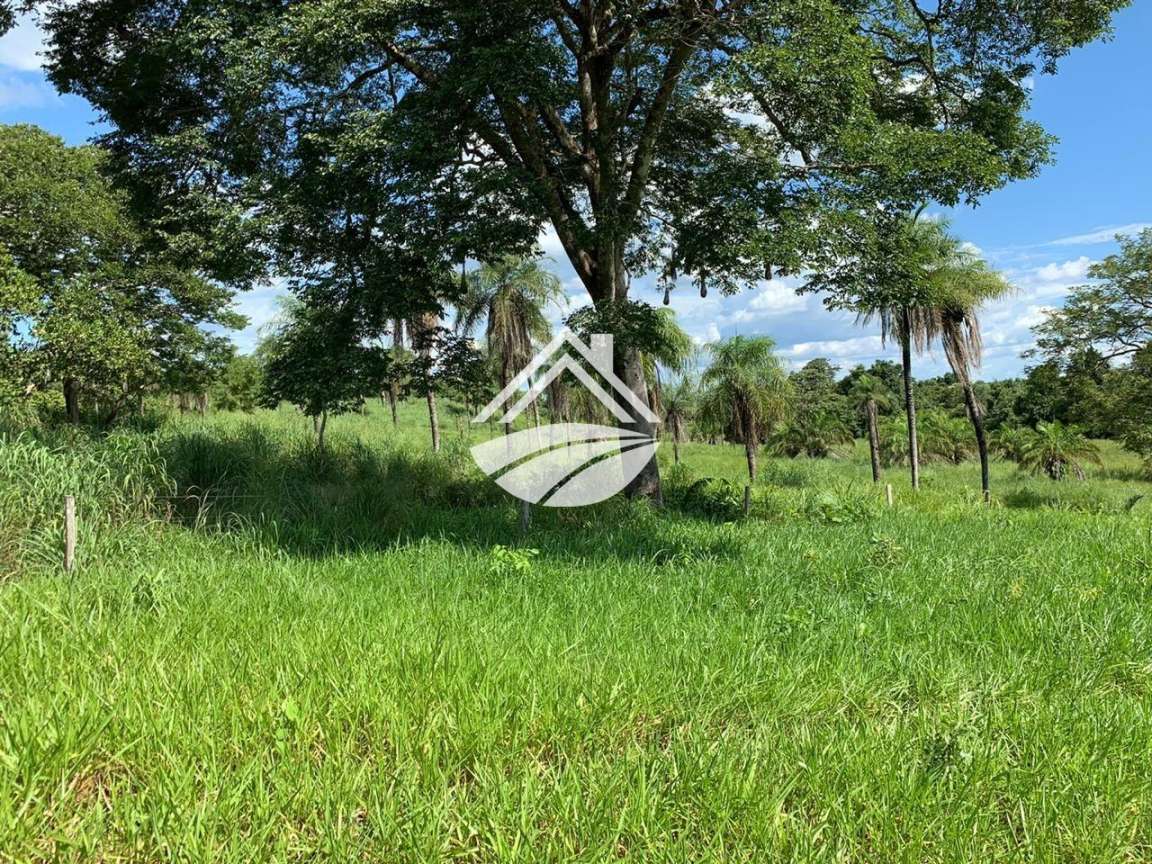 Fazenda, 580 m² - Foto 5
