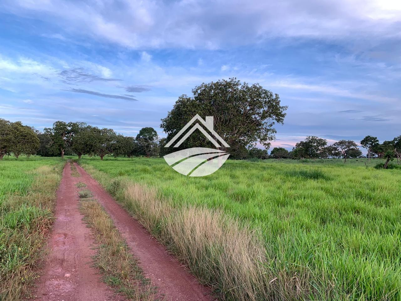 Fazenda, 580 m² - Foto 7