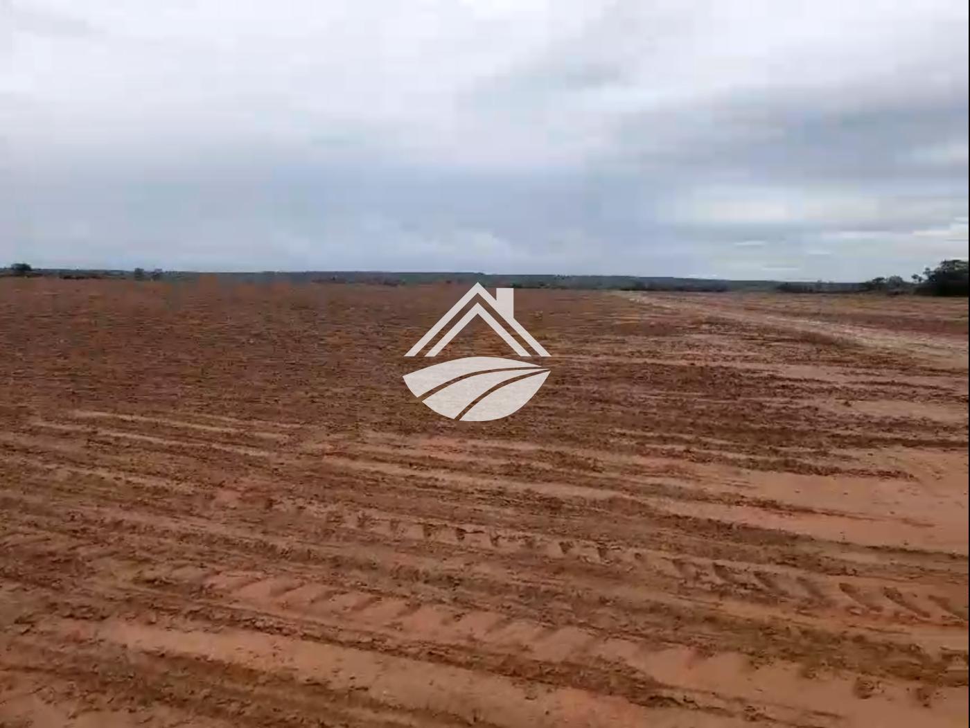 Fazenda, 1331 m² - Foto 5